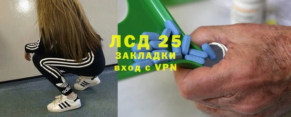 СК Беломорск