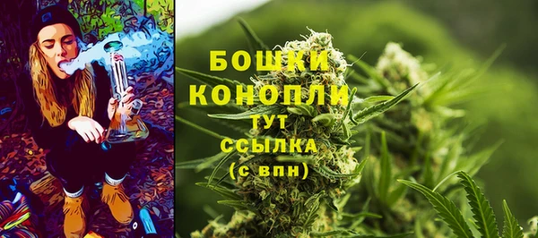 a pvp Белокуриха