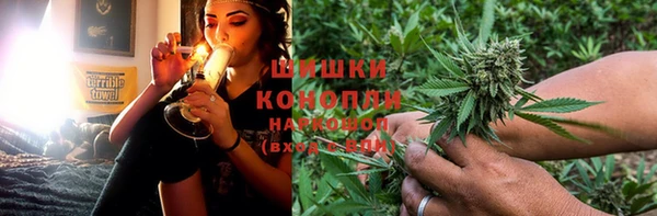 a pvp Белокуриха