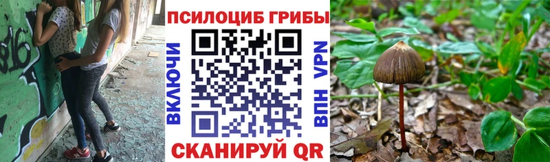 купить   Ленск  Галлюциногенные грибы MAGIC MUSHROOMS 